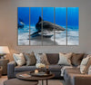 Tiger Shark Canvas Print