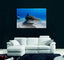 Tiger Shark Canvas Print