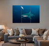 Bull Shark Canvas Print