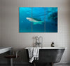 White and Black Shark Canvas Print