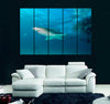 White and Black Shark Canvas Print