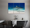 White Shark Swimming Canvas Print