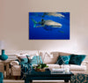 Whale Shark Canvas Print