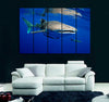 Whale Shark Canvas Print