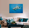 Big Shark Canvas Print