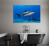 Caribbean Reef Shark Canvas Print