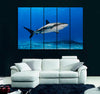 Caribbean Reef Shark Canvas Print