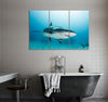 Shark with Scar Canvas Print