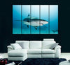 Shark with Scar Canvas Print