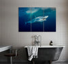 Mako Shark Canvas Print