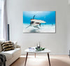 Hammerhead Shark Canvas Print