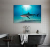 Shark in Clear Water Canvas Print