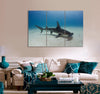 Great Shark Canvas Print