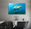 Shark in Sun Light Canvas Print