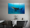 Whale Shark Comes to Play Canvas Print