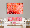 Living Coral Reef Canvas Print