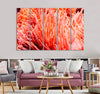 Living Coral Reef Canvas Print