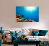 Underwater Coral Canvas Print