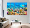 Wonderful Corals Canvas Print