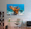 Coral Reef in Caribbean Sea Canvas Print