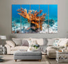 Coral Reef in Caribbean Sea Canvas Print