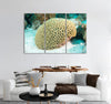 Brain Coral Canvas Print