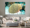 Brain Coral Canvas Print