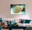 Brain Coral Canvas Print