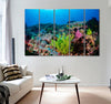 Coral Triangle Canvas Print