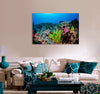 Coral Triangle Canvas Print