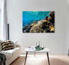 Red Sea Coral Reef Canvas Print