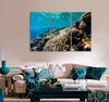 Red Sea Coral Reef Canvas Print