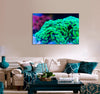 Green Hammer Coral Canvas Print