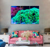 Green Hammer Coral Canvas Print