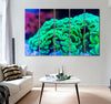 Green Hammer Coral Canvas Print