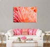 Living Sea Coral Canvas Print